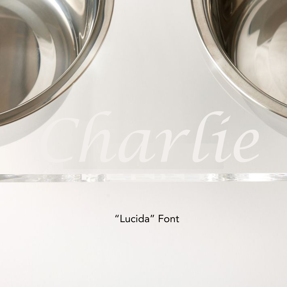 Personalized Double Feeder with Silver Bowls | Options