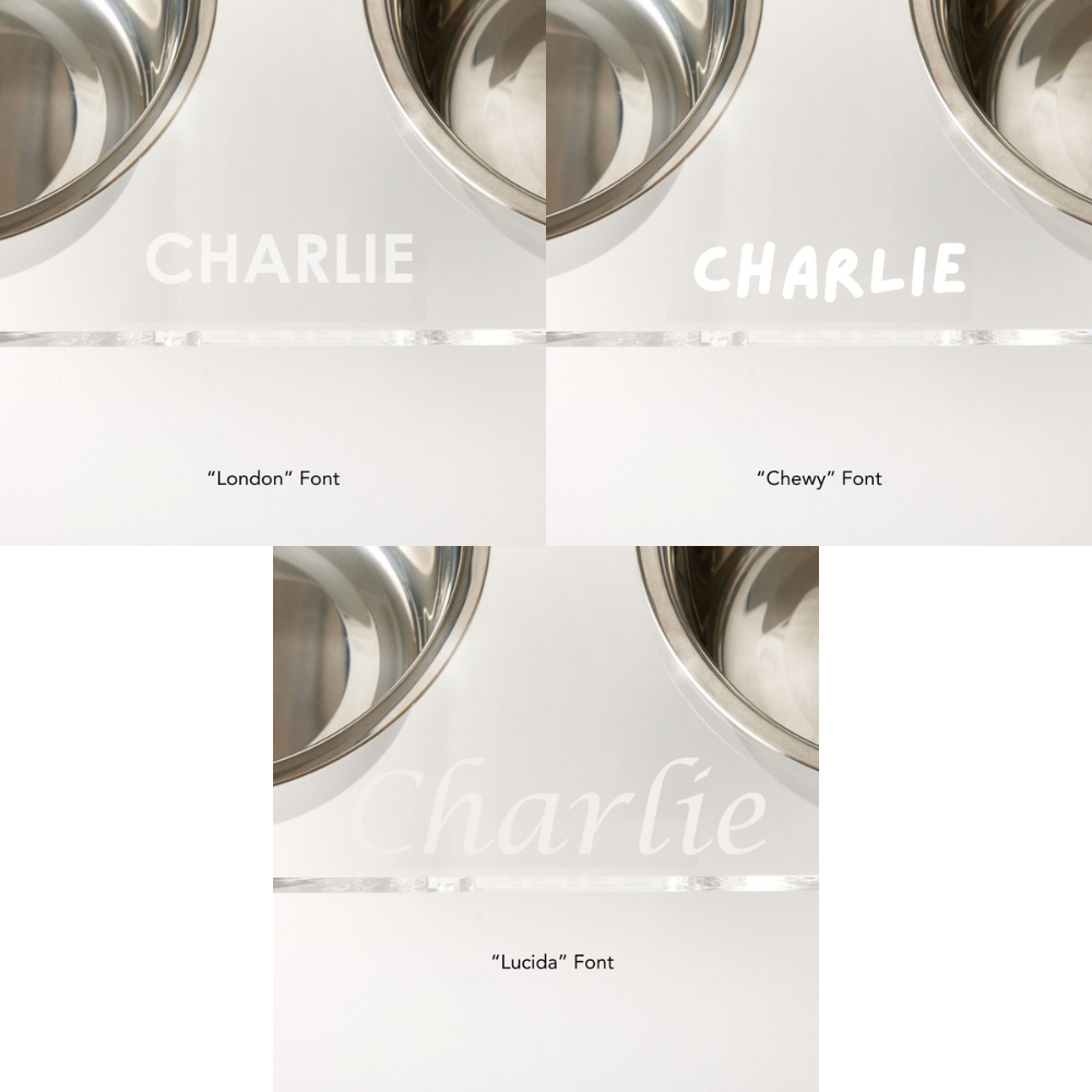 Personalized Double Feeder with Silver Bowls | Options