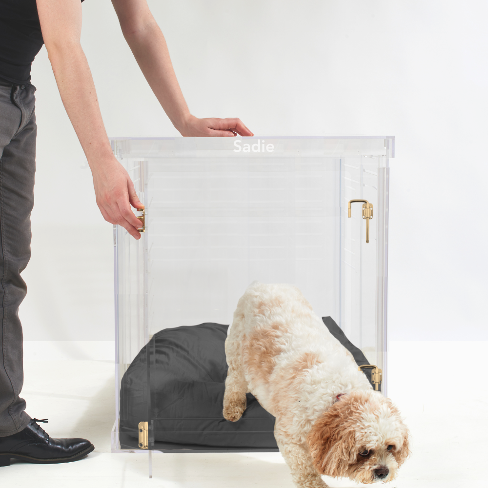 Monogram Medium Crate (Gold Latch)