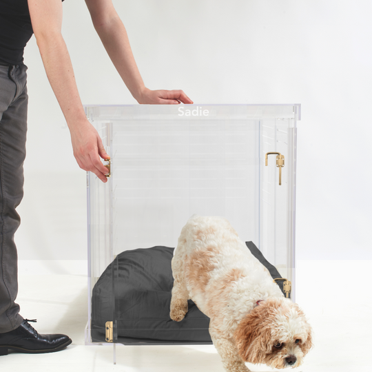 Monogram Medium Crate (Gold Latch)
