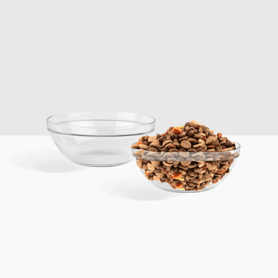 Single Glass Bowl Feeder