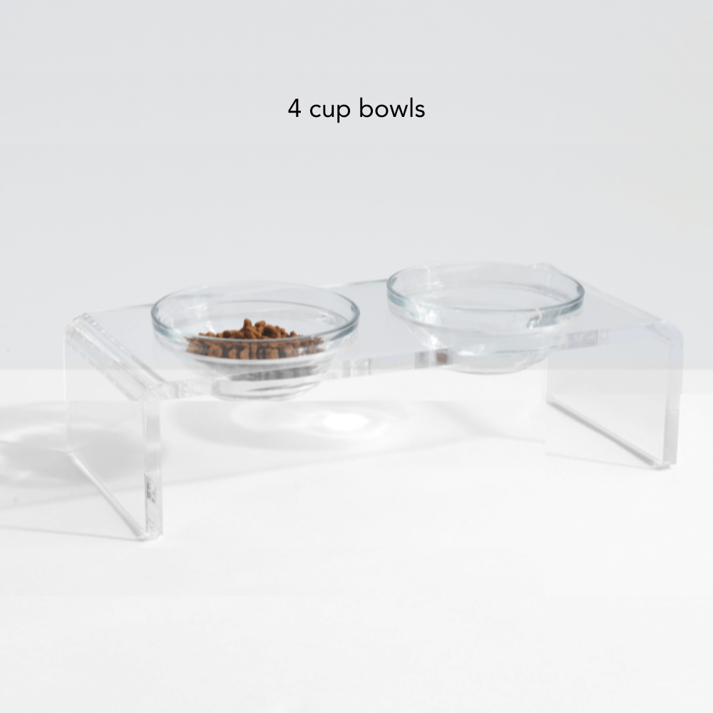 Small Glass Bowl Feeder