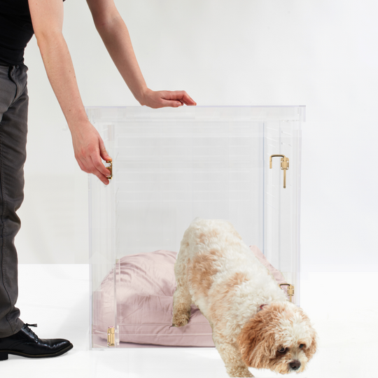 Medium Crate (Gold Latch)