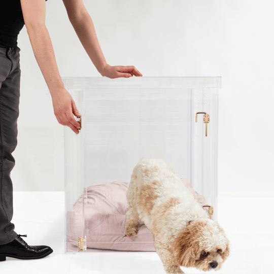 Medium Crate (Gold Latch)