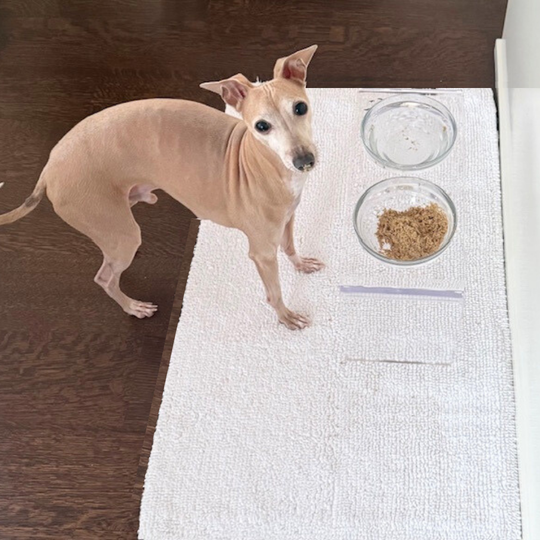 Medium Glass Bowl Feeder