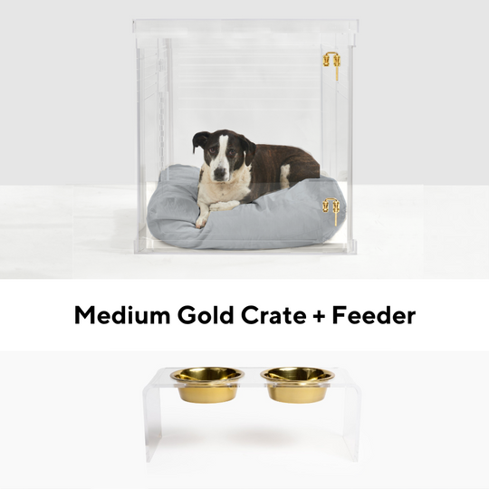 Medium Gold Crate and Feeder