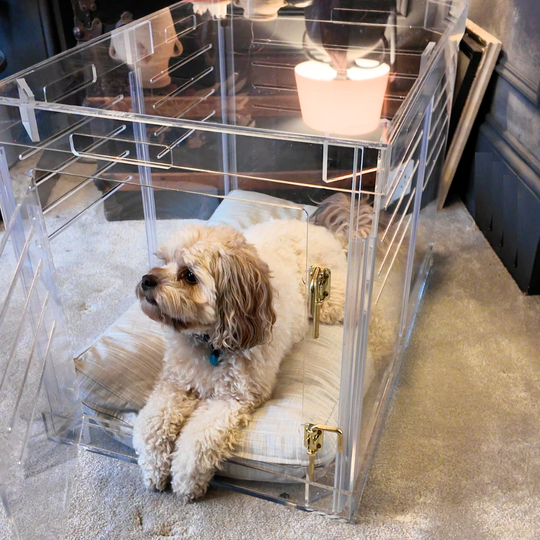 Medium Crate (Silver Latch)