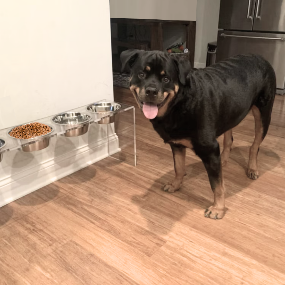 Medium Triple Silver Feeder