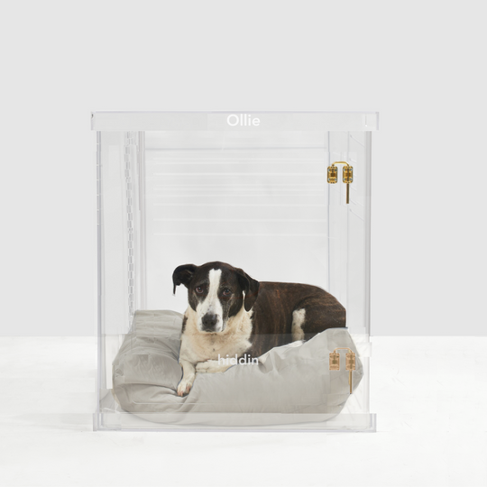 Monogram Medium Crate (Gold Latch)