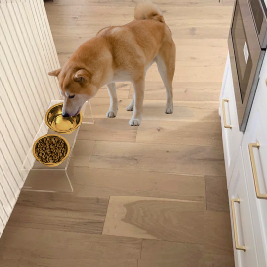 Medium Gold Feeder