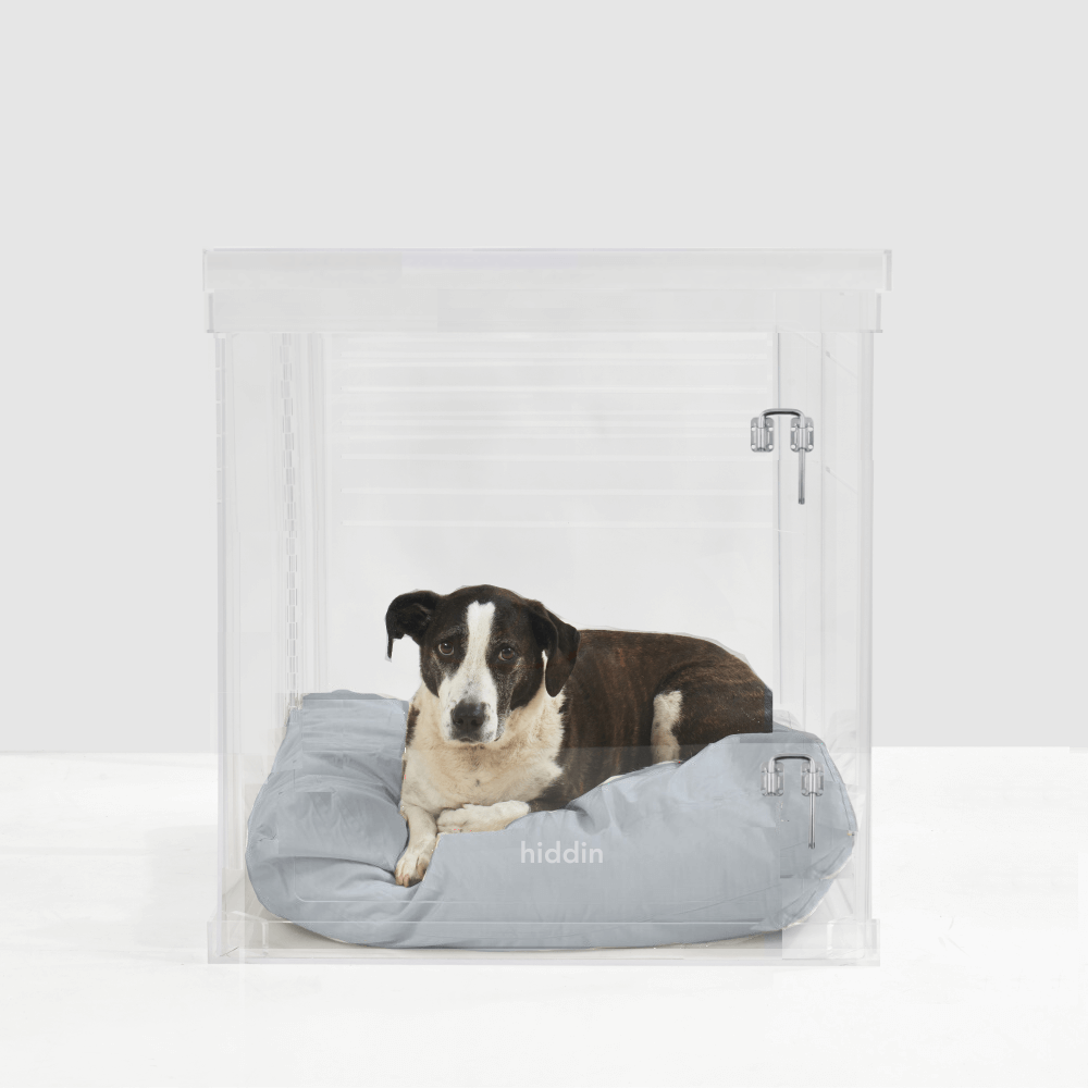 Medium Crate (Silver Latch)