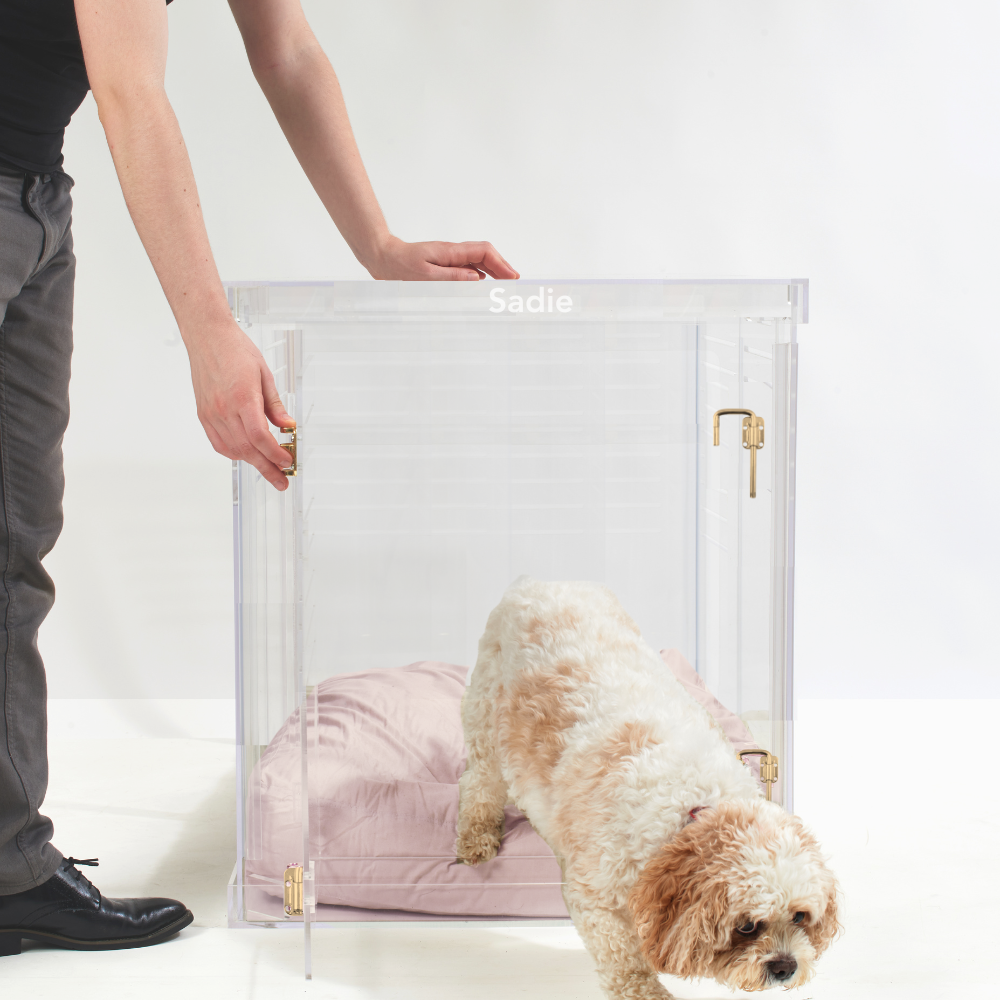 Monogram Medium Crate (Gold Latch)