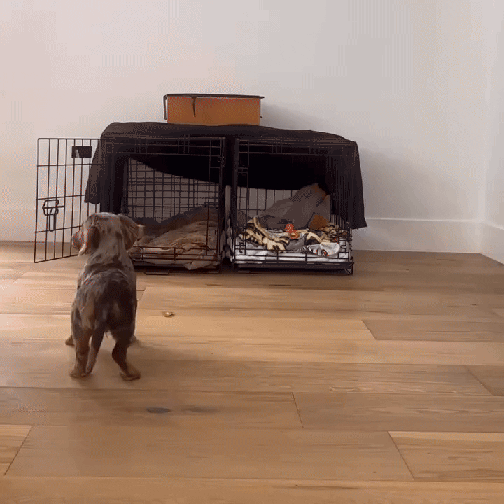 Large Crate (Gold Latch)