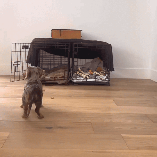 Medium Crate (Gold Latch)