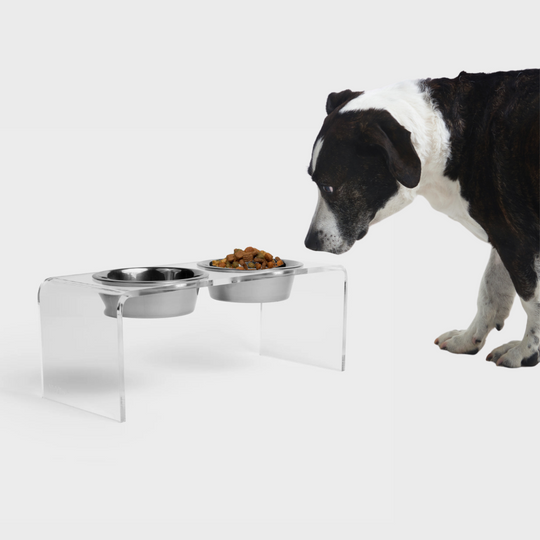 Medium Clear Double Pet Bowl Feeder with Silver Bowls | Options