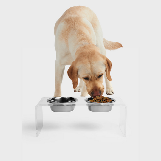 Medium Clear Double Pet Bowl Feeder with Silver Bowls | Options