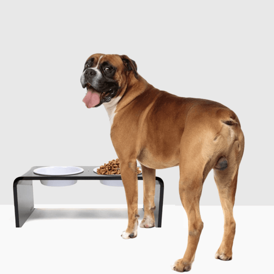 Medium Smoke Grey Feeder