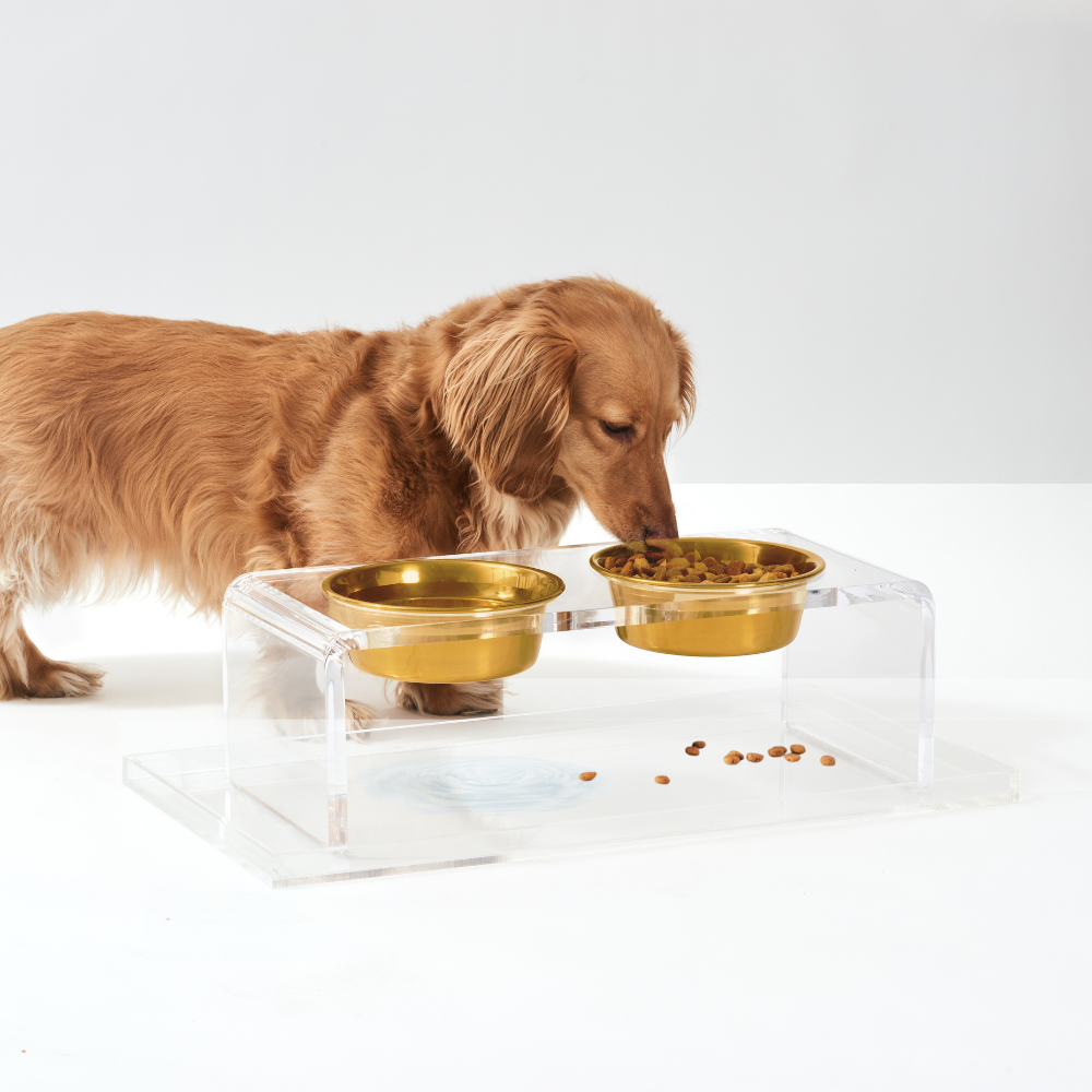 Overflow Feeder Tray