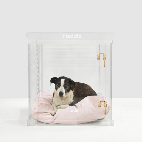 Monogram Medium Crate (Gold Latch)
