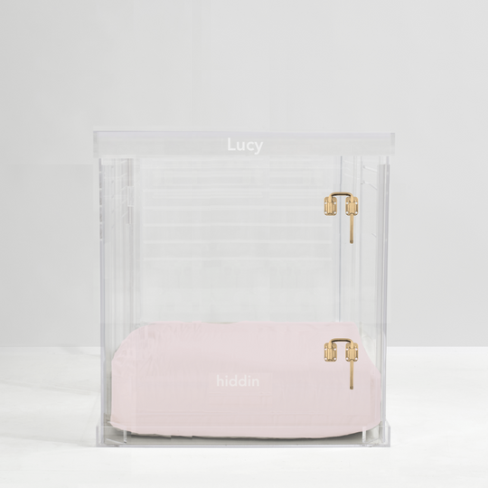 Monogram Medium Crate (Gold Latch)