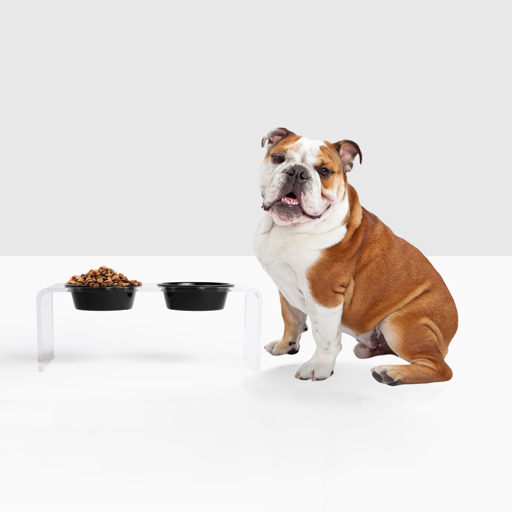 Medium Black & White Feeder