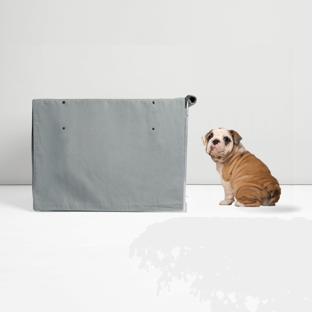 Hiddin Crate Cover & Cushion Set