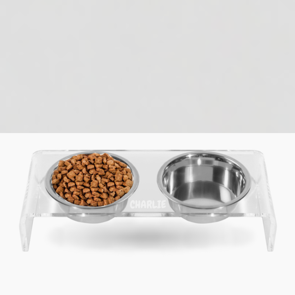 Monogram Silver Feeder
