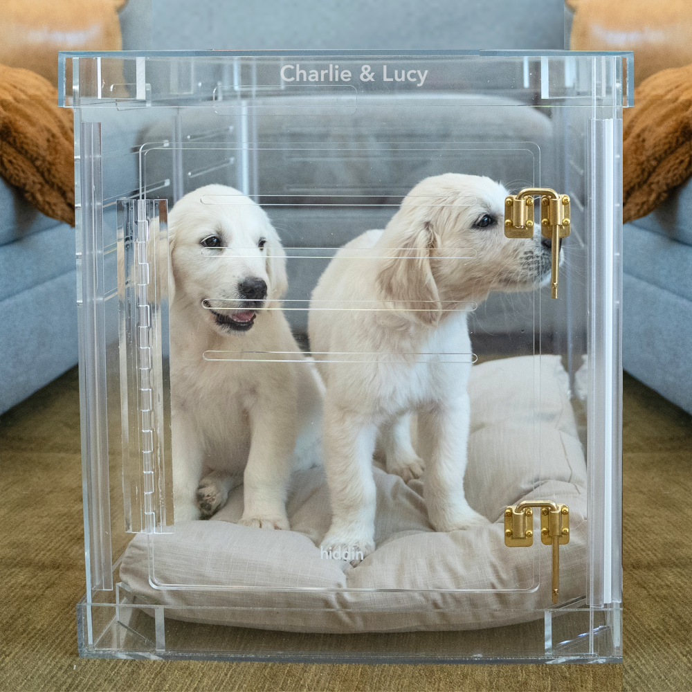 Monogram Medium Crate (Gold Latch)