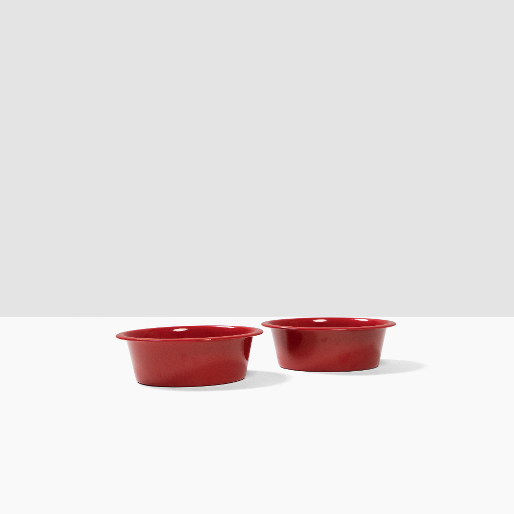 Hiddin Metal Pet Bowls Set