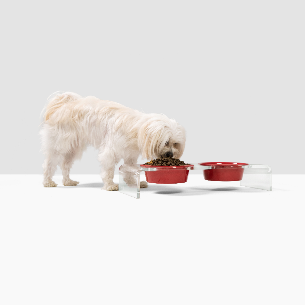 White dog eating from a red bowl