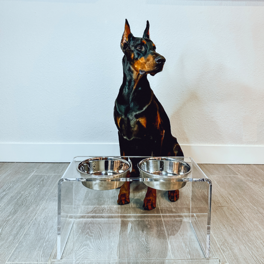 Tall Clear Double Pet Bowl Feeder with Silver Bowls