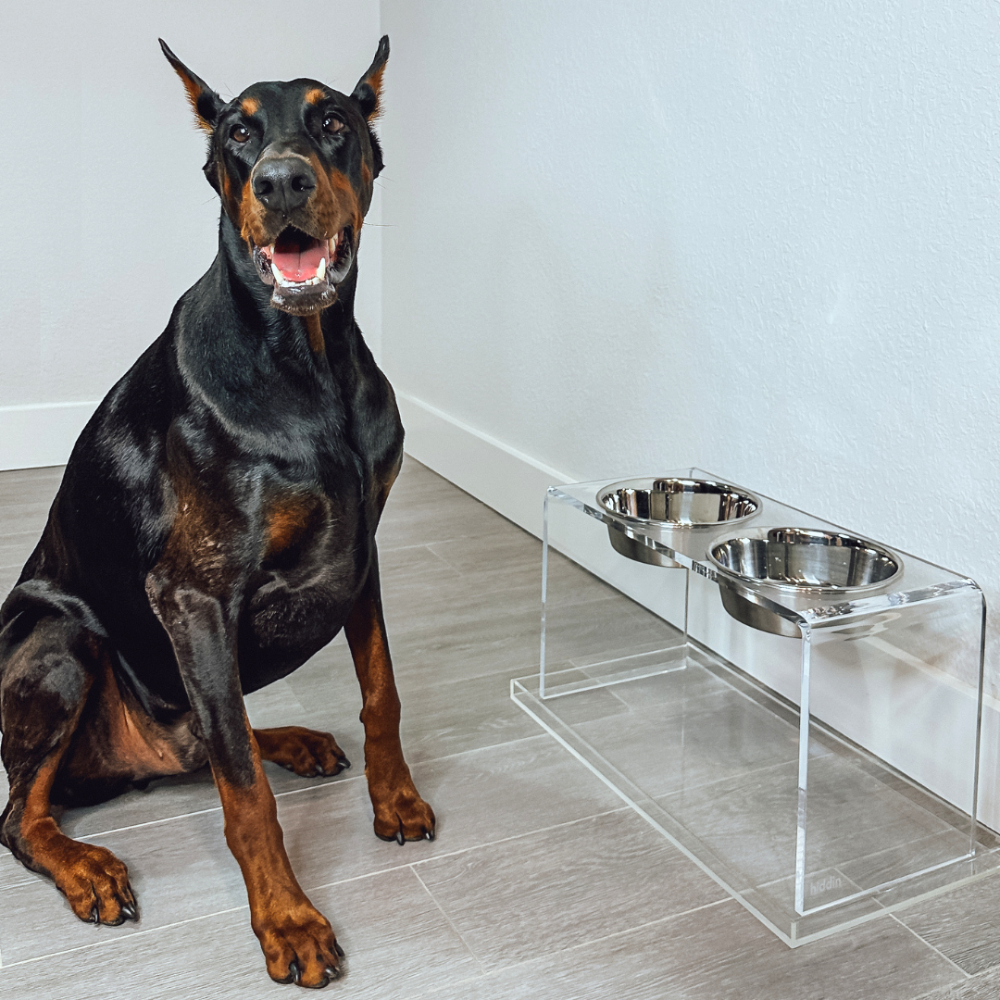 Tall Clear Double Pet Bowl Feeder with Silver Bowls