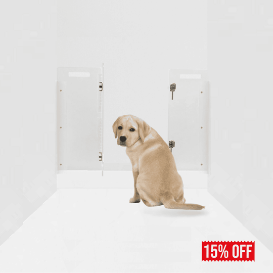 Panel Gate with Door (Wall Attached)