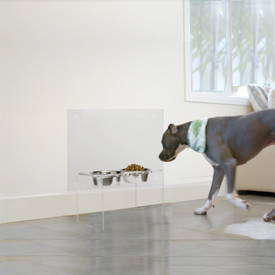 Lucite Wall Protector