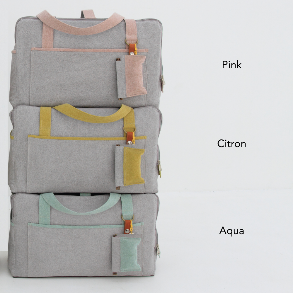 2 Tone Pet Carrier