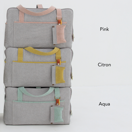 2 Tone Pet Carrier