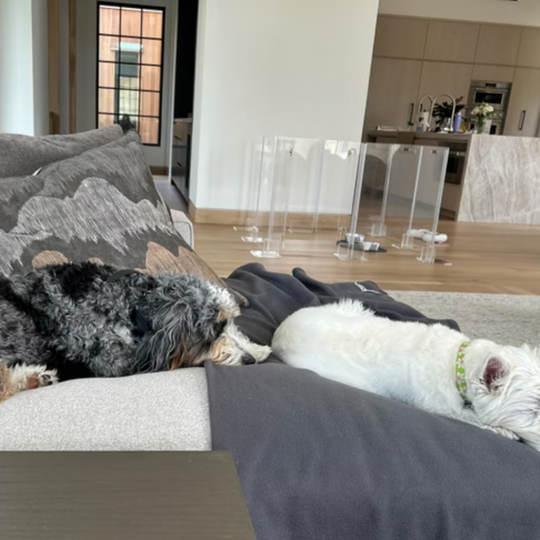 Clear Pet Playpen, 24" High