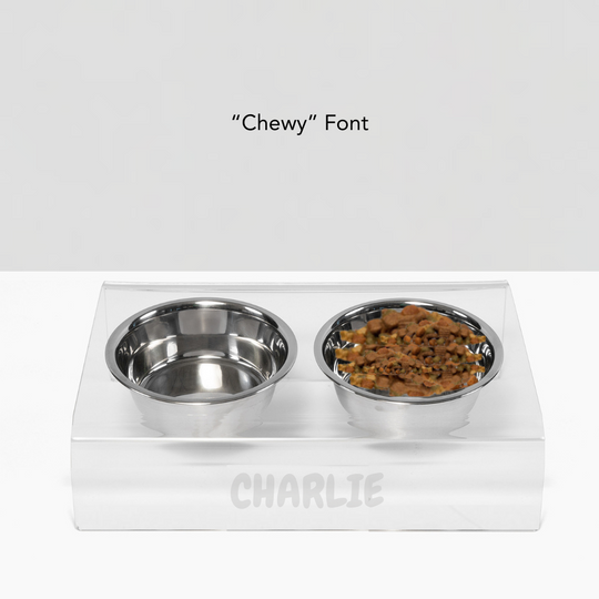 Personalized Slanted Silver Bowl Feeder | Options