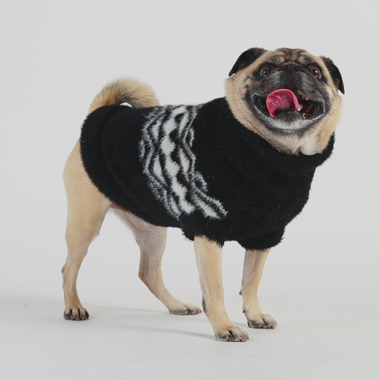 Fuzzy Ski Dog Sweater | Options