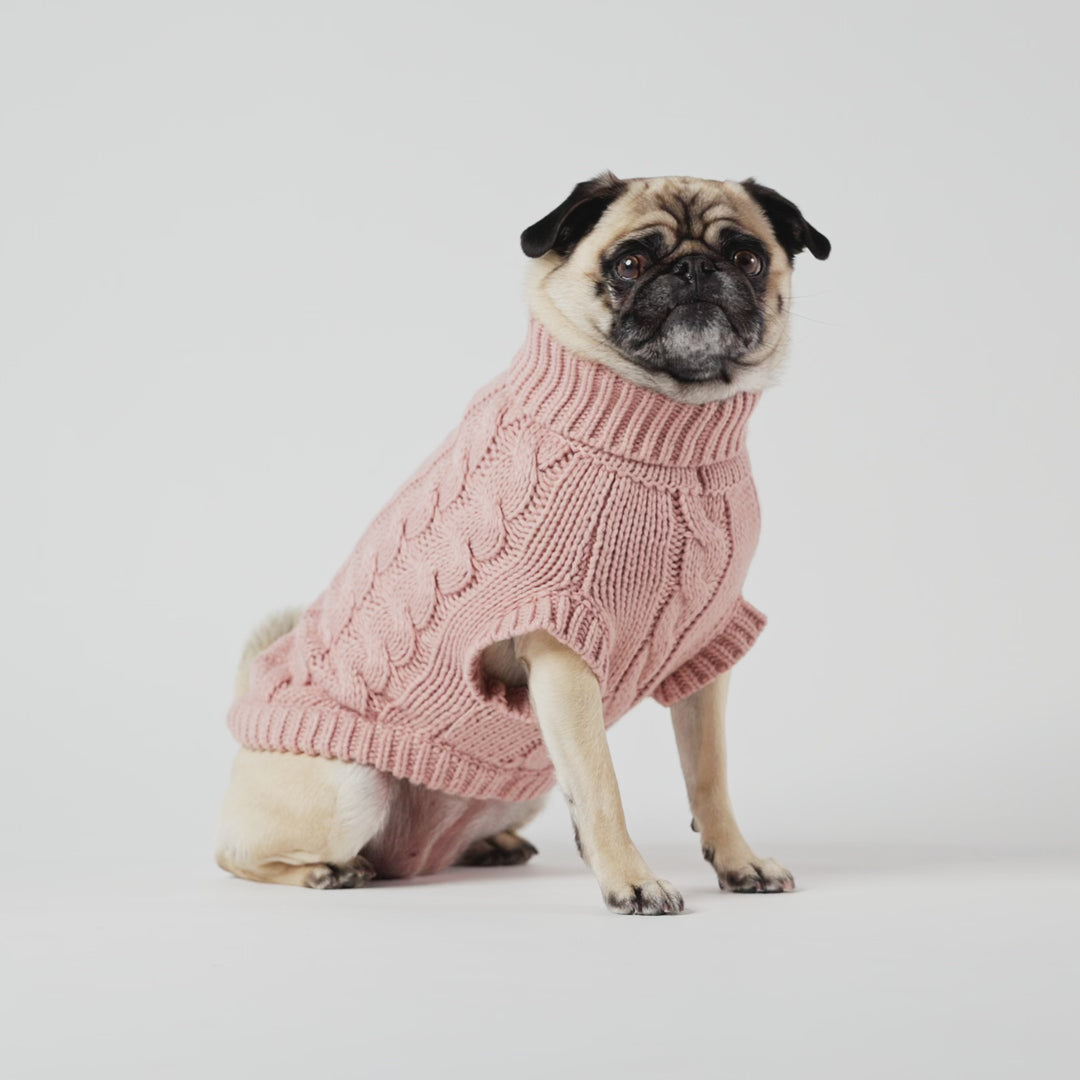 Acrylic Solid Cable Dog Sweater | Options