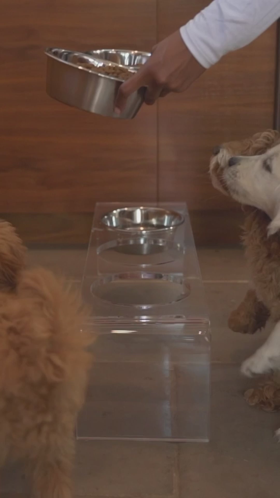 Medium Triple Silver Feeder