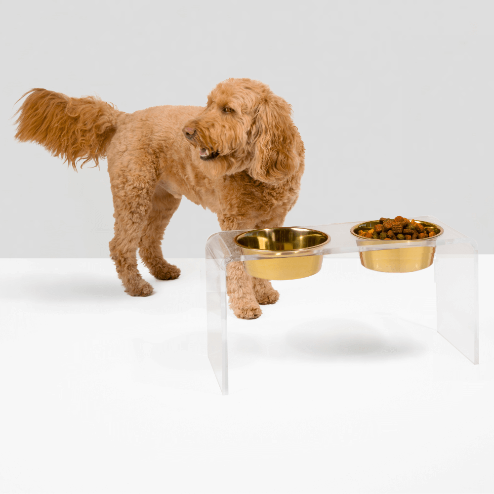Tall Gold Feeder