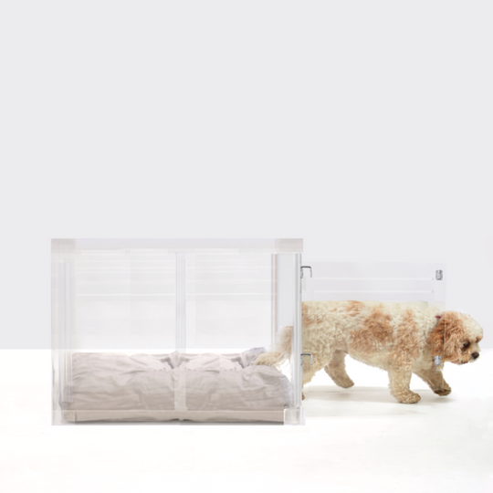 Medium Crate (Silver Latch)