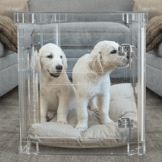 Medium Crate (Silver Latch)