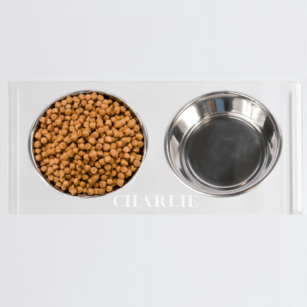 Personalized Double Feeder with Silver Bowls | Options