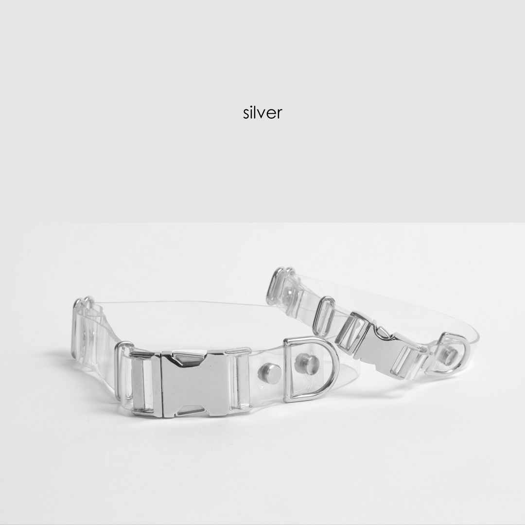 Clear Dog Collar | Options