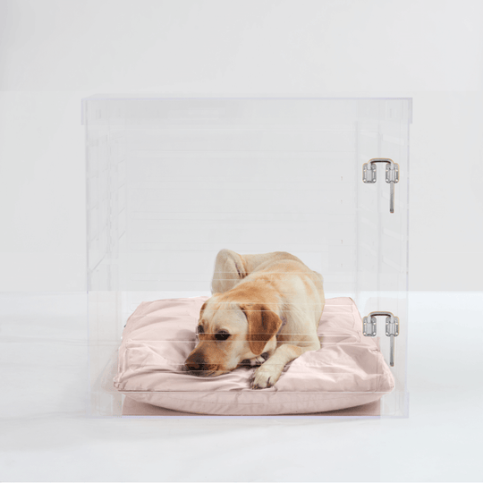 Large Crate (Silver Latch)