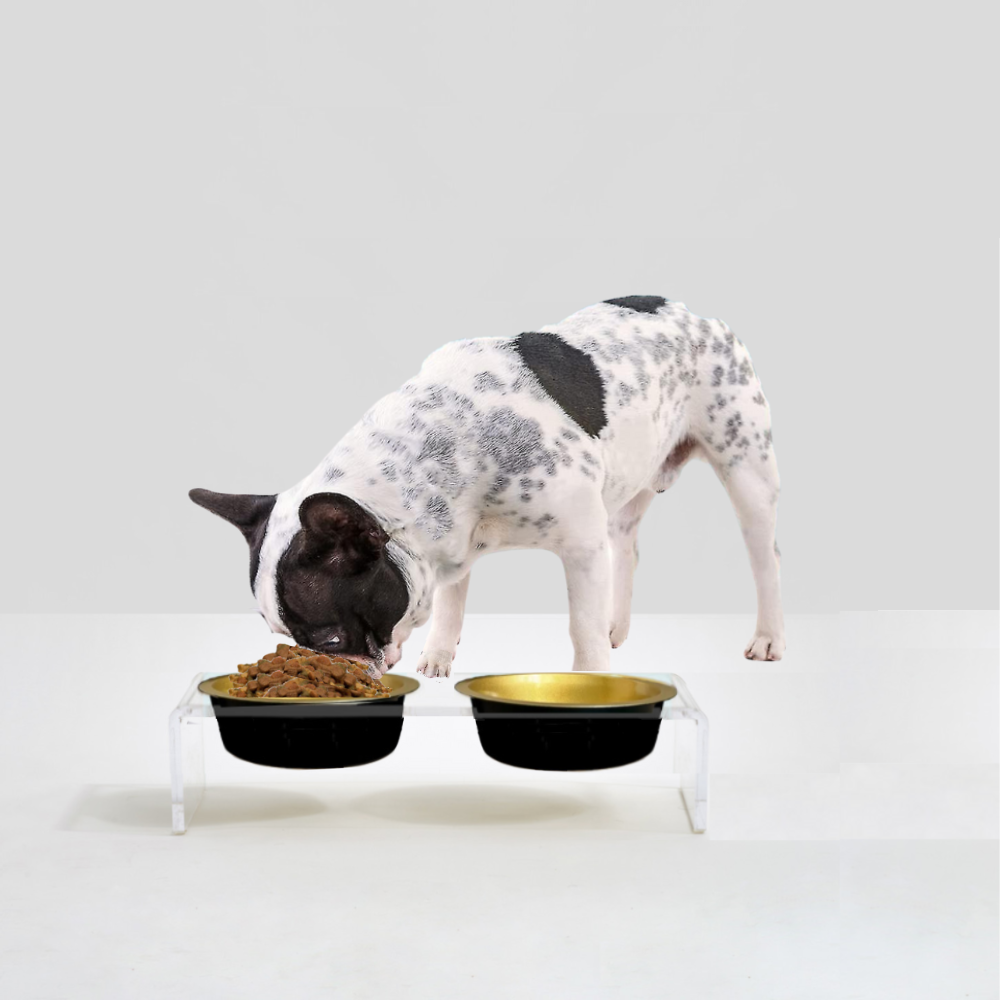 Clear Double Pet Bowl Feeder with Glam Bowls | Options