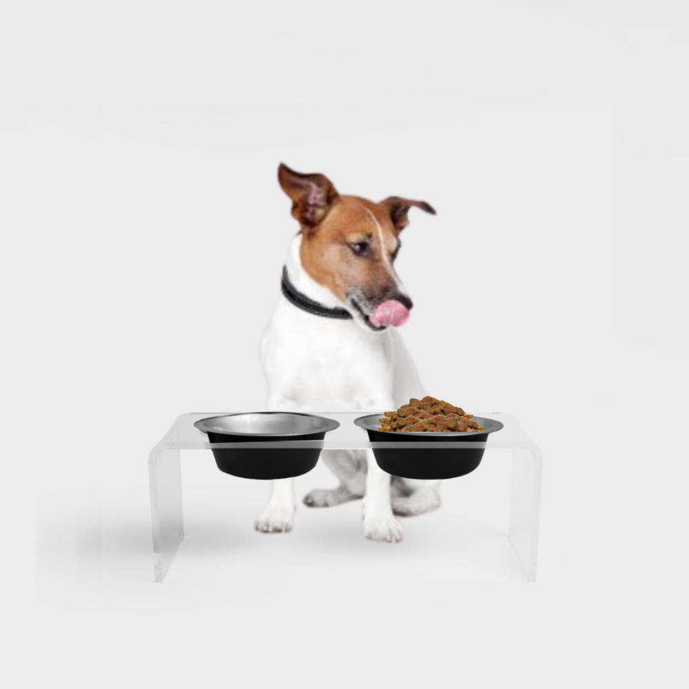 Clear Double Pet Bowl Feeder with Glam Bowls | Options