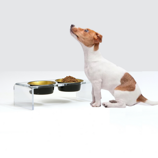 Clear Double Pet Bowl Feeder with Glam Bowls | Options